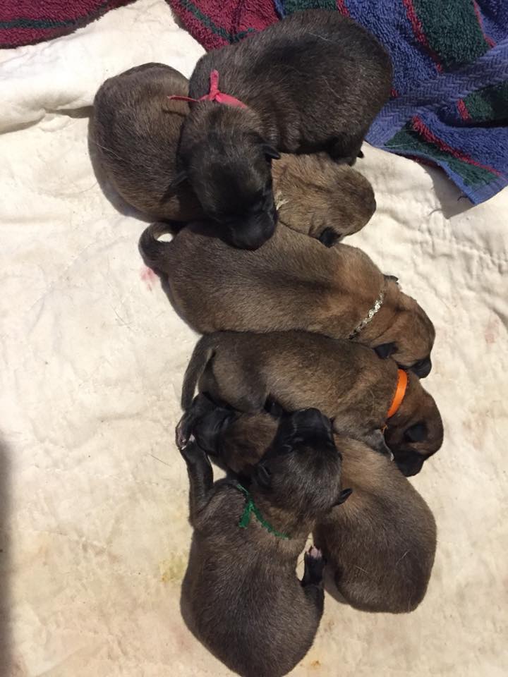 23519080_10210418171482943_7217770039130065681_n